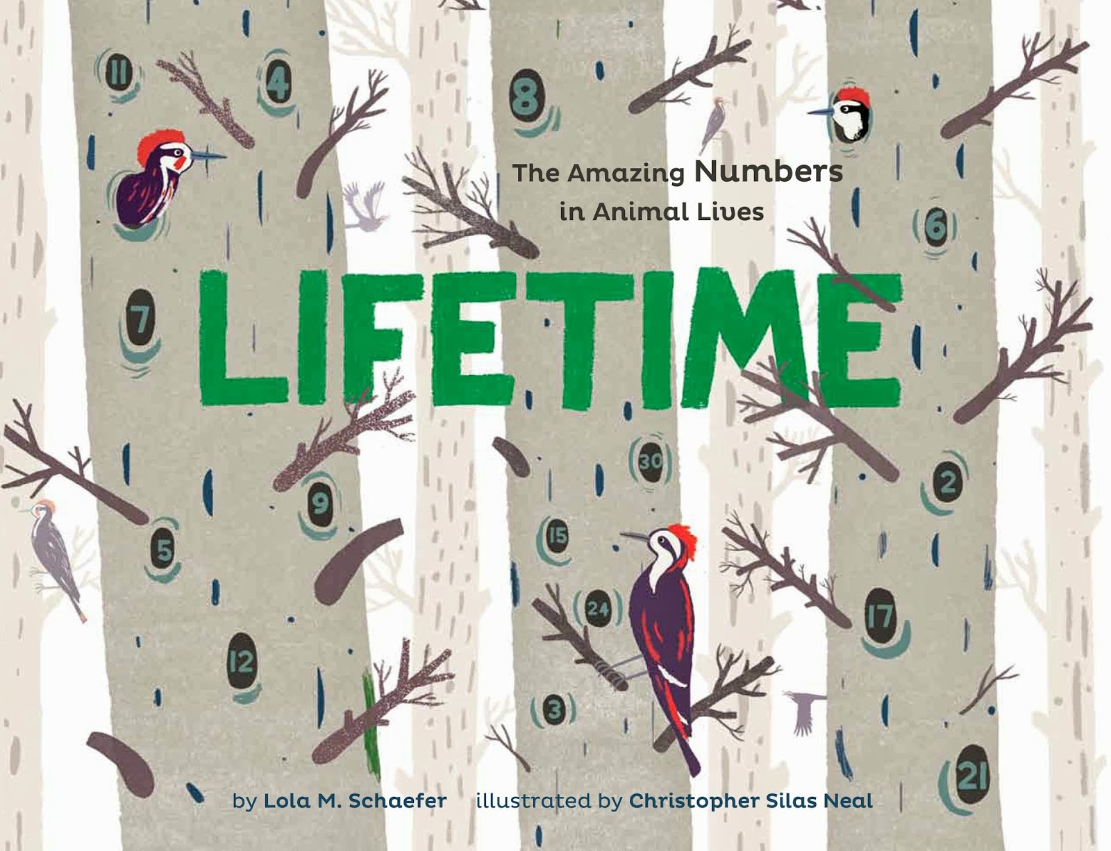 life time book review