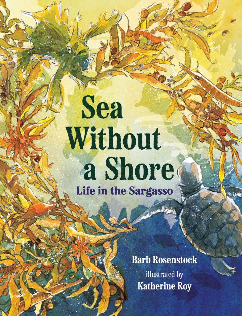 Sea Without a Shore: book cover