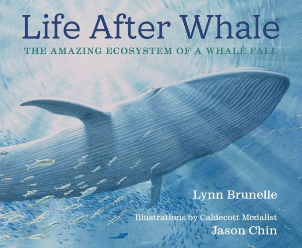 Life After Whale: The Amazing Ecosystem of a Whale Fall: Book Cover