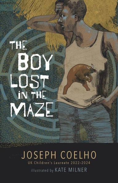 The Boy Lost in the Maze: Book Cover