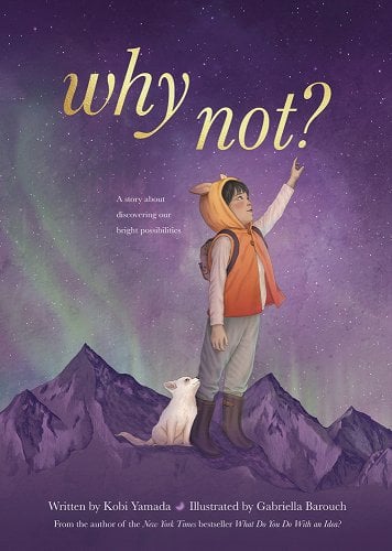 Why Not?: A Story about Discovering Our Bright Possibilities: Book Cover