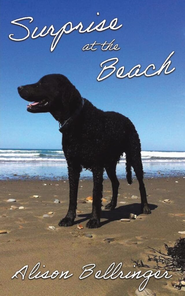 Surprise at the Beach Book Cover