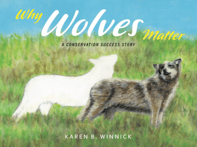 Why Wolves Matter: A Conservation Success Story: Book Cover